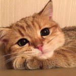 <b>자자</b>