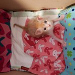 내겐 너무 예쁜 아가