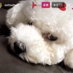 [EXO] <b>아우</b> 졸려 죽겠는데 왜 자꾸 부르는거야