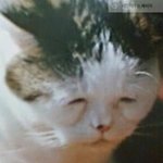 [드루와] 18살에 <b>예대</b> 1학년 다니는중 질문ㄱ