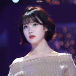 트와 팬들 마마 확신하는 이유 뭐야