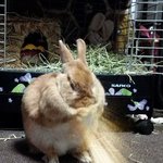 [19] 근데 내 <b>id</b>는 강남미인이 만약 내년에 나왔었다면