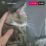 [댓글부탁해] <b>단풍</b>이는 아빠가 니 아빠라서 미안해