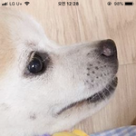 [댓글부탁해] 이거 먼지 아는사람 ㅠㅠㅠㅠㅠ