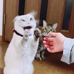 [댓글부탁해] 나 후드티사서 <b>자수</b> 놔볼까??