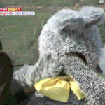 와...나 안재현이 너무좋아