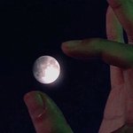 [19] 야 나만 그러냐