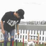 [EXO] 세훈이 <b>조련</b>하는 비비