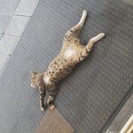 왜 이러고 <b>자요</b>...?