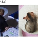 [강다니엘] 코룽이랑 <b>오리</b>