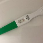 [19] 지금임신테스트햇는데