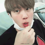 방탄 진 너는 무슨 파야?