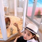 일본에서의 제니 인스타업뎃