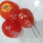 [꼭봐주세요] 곰팡이핀샐러드판매한 파리바게트<사진첨부>