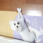 [댓글부탁해] 우을증<b>환자</b> 고민좀 봐주세요.