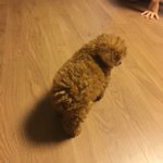 발표 주제 추천해줘라 ㅠㅠㅠㅠ