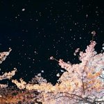 얘두라 이거 판녀 <b>비듬</b>이야?