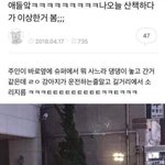 [댓글부탁해] 남자들군대가서