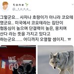 [NCT] 이 <b>동물</b> 코요테래