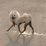개명하는거 쉬워?? <b>주변</b>사람들<b>반응</b>