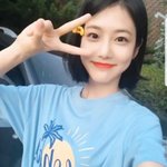 [드루와] 도하나 따라하고다니는거 ㅇㄸ?