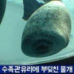 원래 친추목록에 안떴었는데 <b>모임</b> 하고나서 친추뜨면