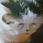 [댓글부탁해] ;ㅁ; 반애들이랑 <b>놀러</b>다니고싶어..