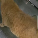 [댓글부탁해] 19)치명적인 <b>뒷태</b>