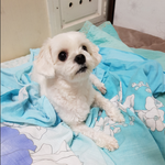 [개깊은빡침] 왜 여자 혼자 <b>산책</b>할때만 욕을 하나요