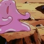 삐아 진지보스 <b>착색</b> 어때