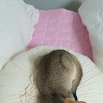 [드루와] 나 위가 줄긴했나봐ㅋㅋ