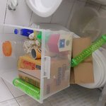 <b>흰색</b> 햄스터 출산~~~~~