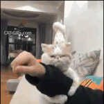 <b>집사</b>