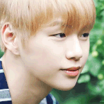 [강다니엘] 강다니엘 더스프링홈 메이킹<b>필름</b> 티저 보정짤