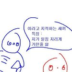 너네 그거아나?