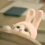 <b>모니</b>?