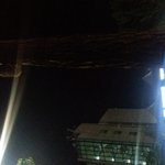 [드루와] <b>산책</b>중인데 고양이가 나무에 매달려있어