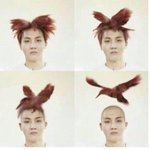 [방탄소년단] 호석이 머리에있던 새가 날라서,,,,