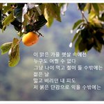 9월 시, 9월의 시, 감 / 허영자