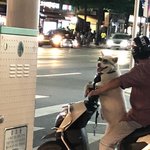 [댓글부탁해] ㅅㅂ 잠 잘 타이밍 놓친사람?ㅠㅠㅠㅠ