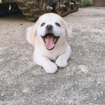 요즘 기부니가 맨날 좋다ㅎㅎ