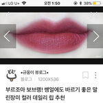 [드루와] 말린 <b>장미</b> 립 추천 좀 해조