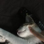 와 방금 진짜 현<b>수아</b>같앗어