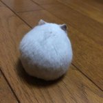 [댓글부탁해] 난 항상 내가 <b>뒷전</b>이고 2순위였어