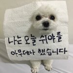 개냄새 짱좋다