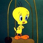 [댓글부탁해] 중고딩 들어와주세요