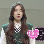 이거 <b>우기</b> 맞음...?