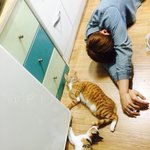 [댓글부탁해] 고3들 자소서 다썼냐