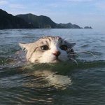 [댓글부탁해] <b>문이</b>과 선택 도와줘ㅠ