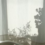 원래 잘때 선풍기 <b>강풍</b>으로 틀고잤는데